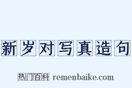 新岁对写真造句是什么意思的图片